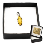 Wisiorek z bursztynem