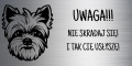 Grawerowana Tabliczka "Uwaga Pies" – York